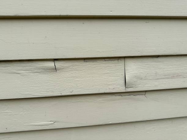 Best Property Management Cleanouts  in Butler, PA